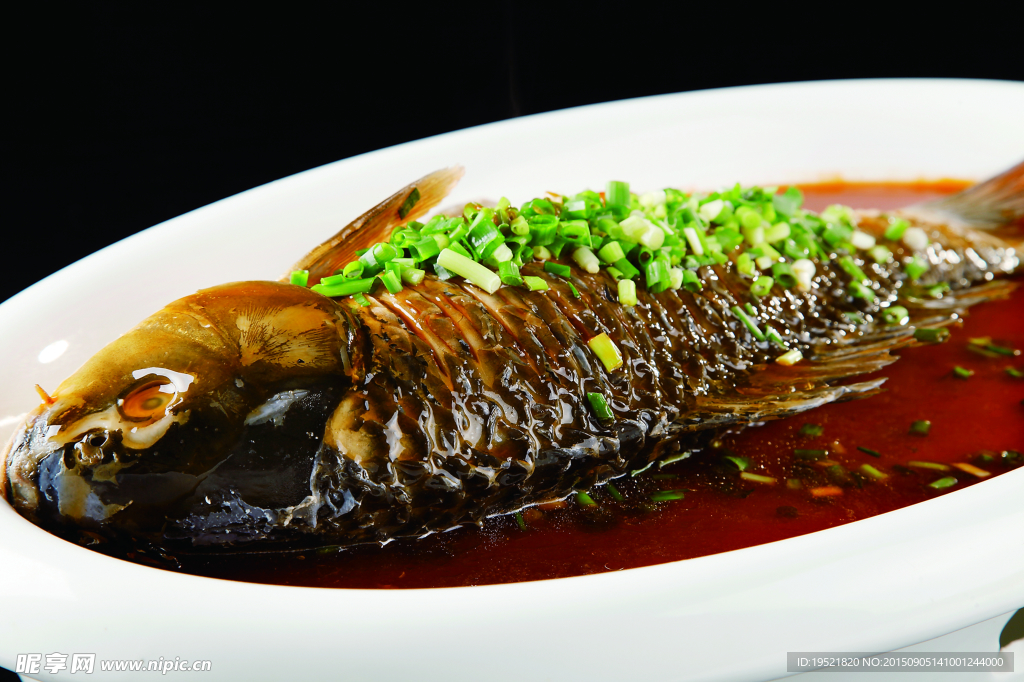 黃河鯉魚
