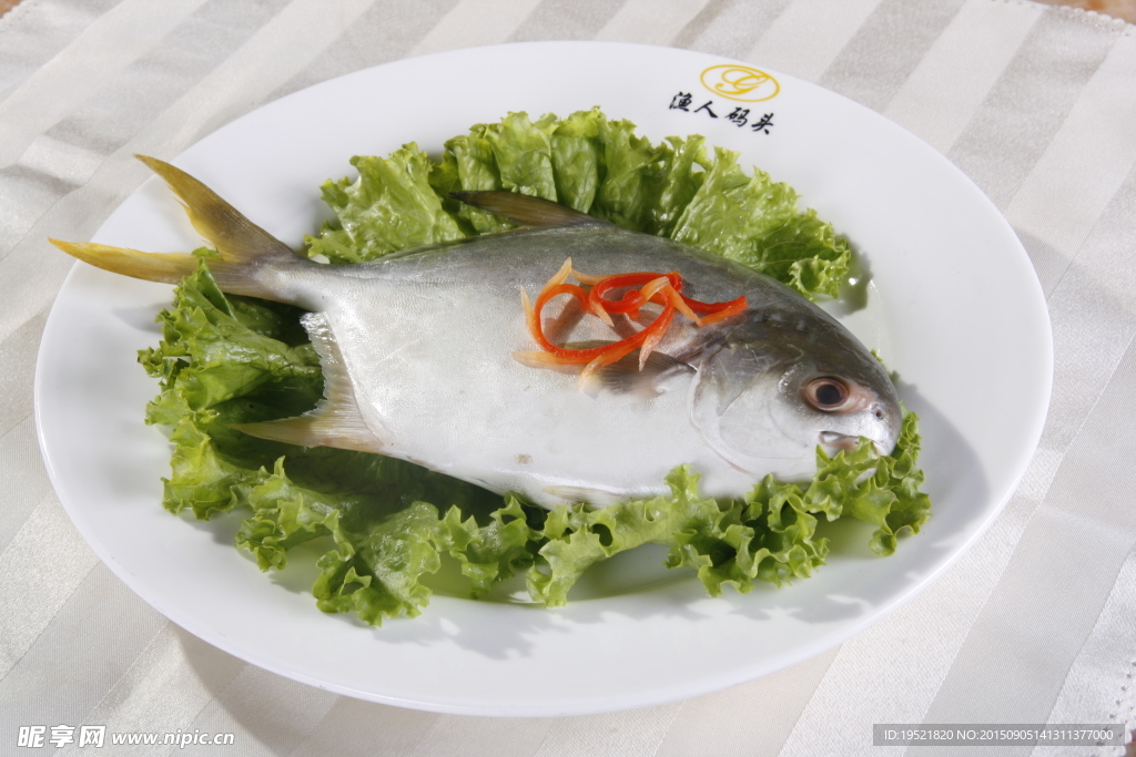 晶魚
