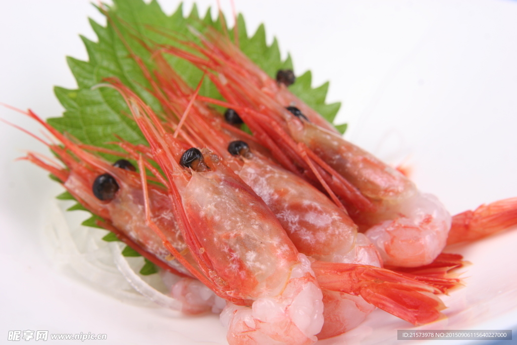 田蝦
