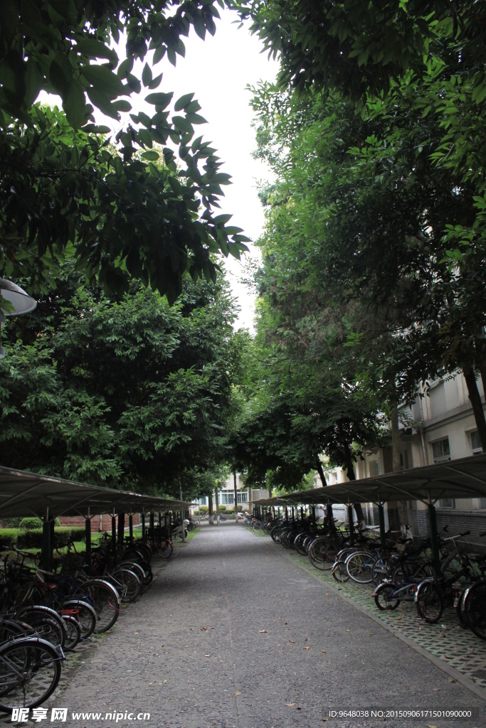 校園系