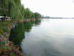 湖畔风景