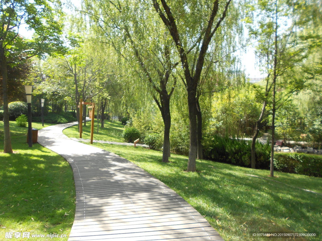 公園風景