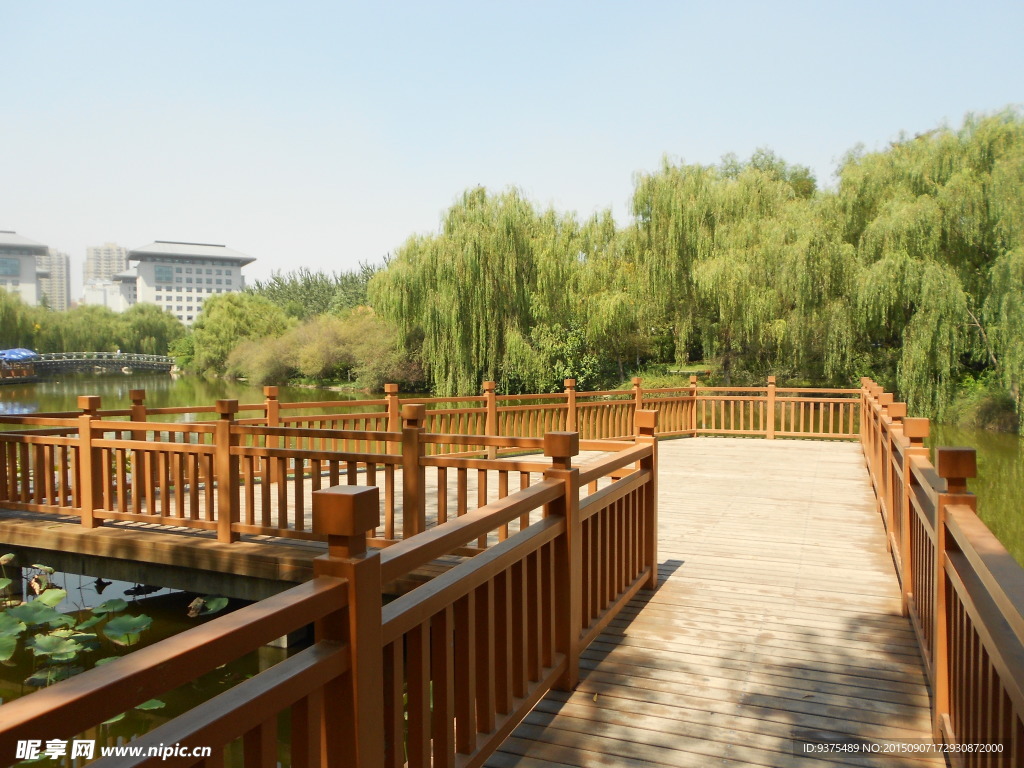 公園走廊風(fēng)景
