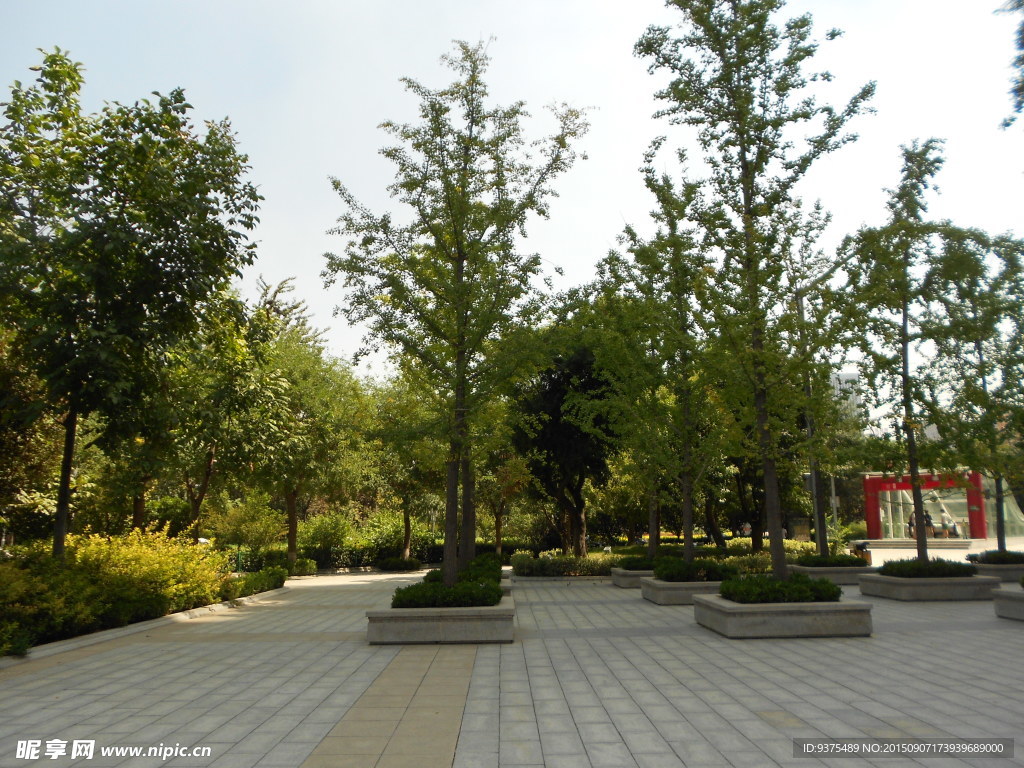 公園一角