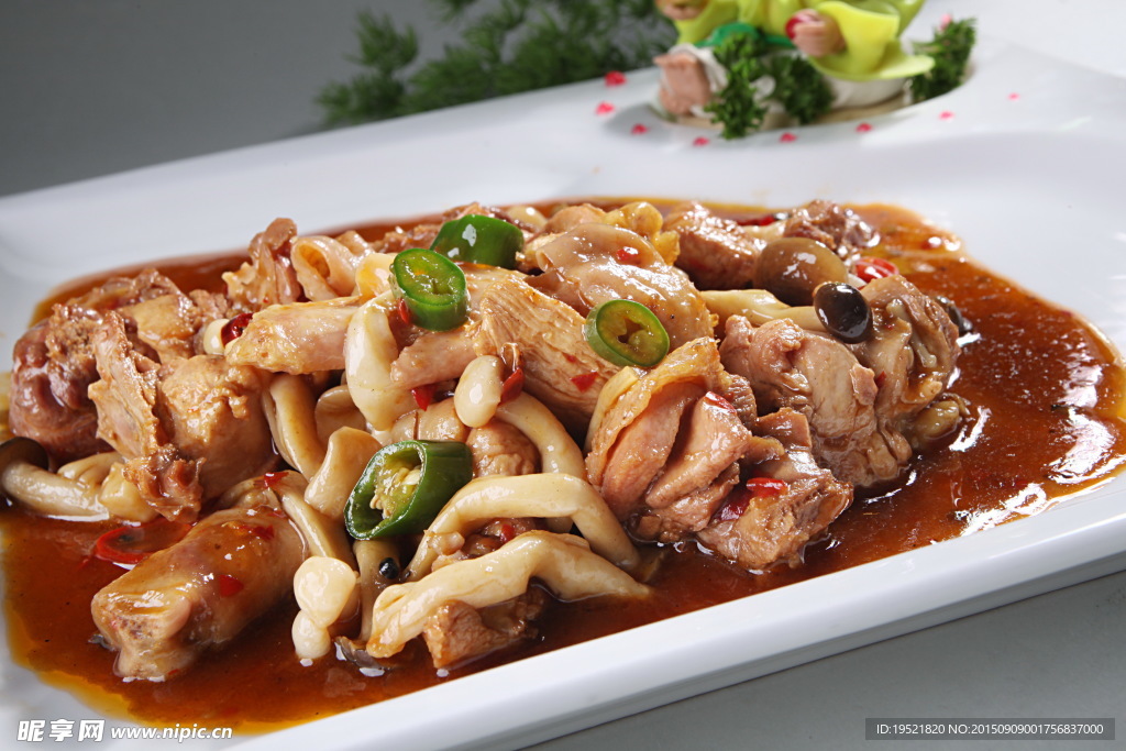 菌燉雞肉
