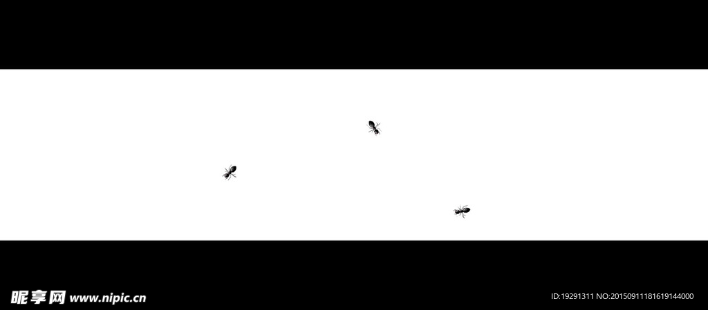 螞蟻動態(tài)視頻