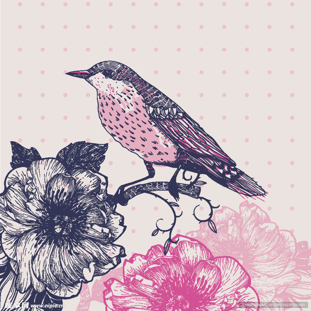 花鳥