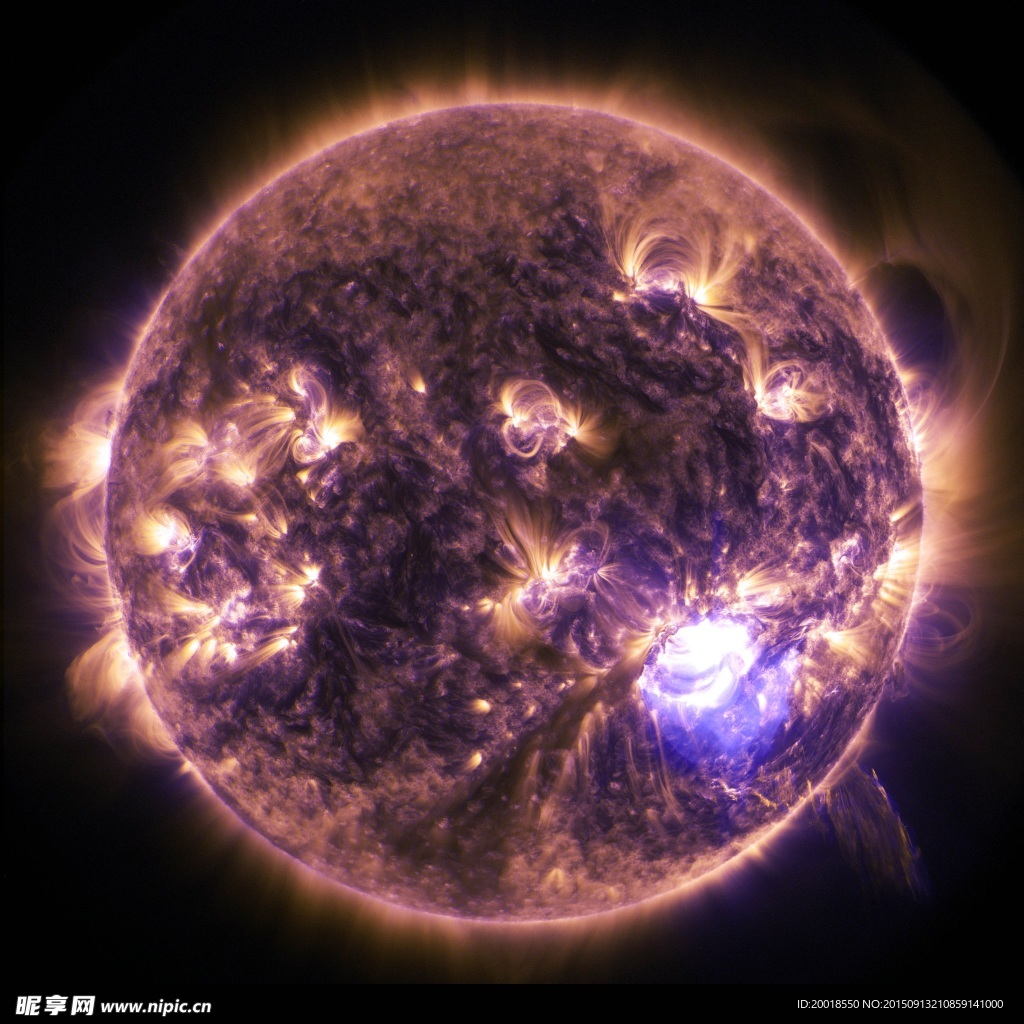 太陽