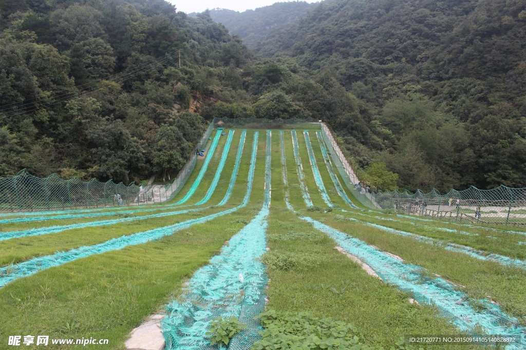 滑草