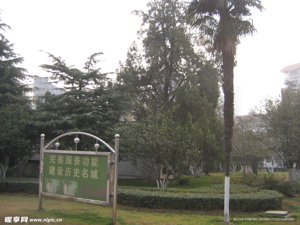 公園道路