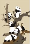 熊猫矢量图 活泼熊猫 可爱熊猫