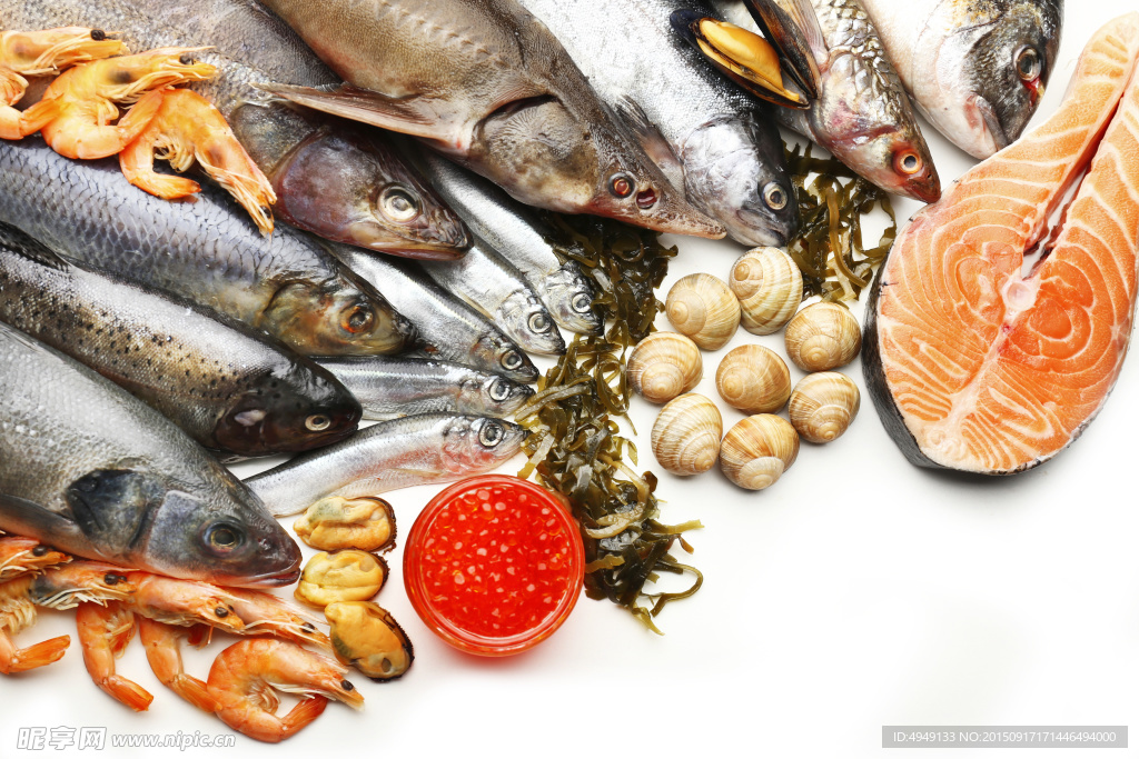 美味食材 魚