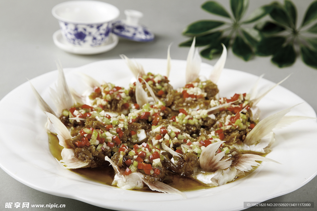 醬椒蛔魚翅
