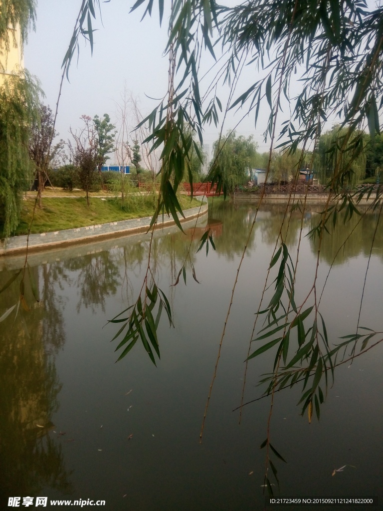 水邊美景