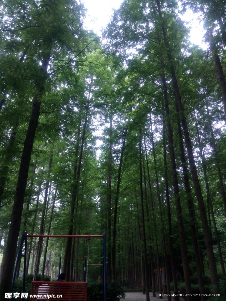 校園風光