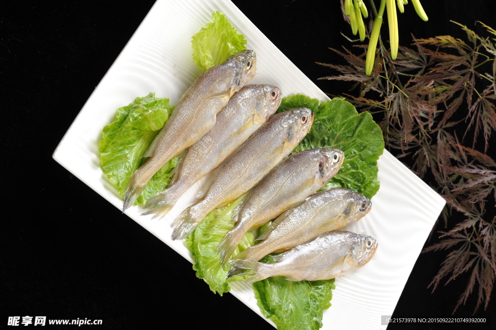 大梅魚
