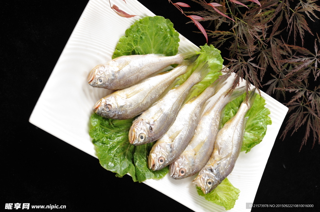 大梅魚