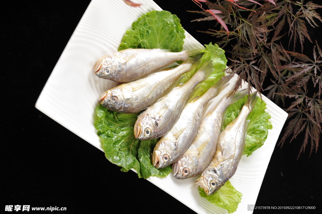 大梅魚(yú)