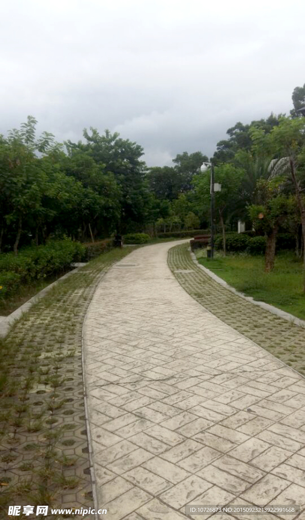 公園一角