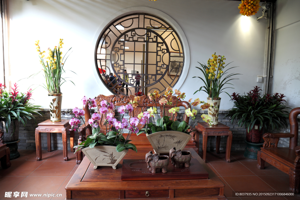 花卉展示