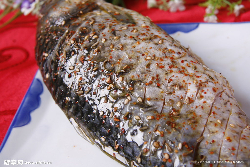 荷包鯽魚