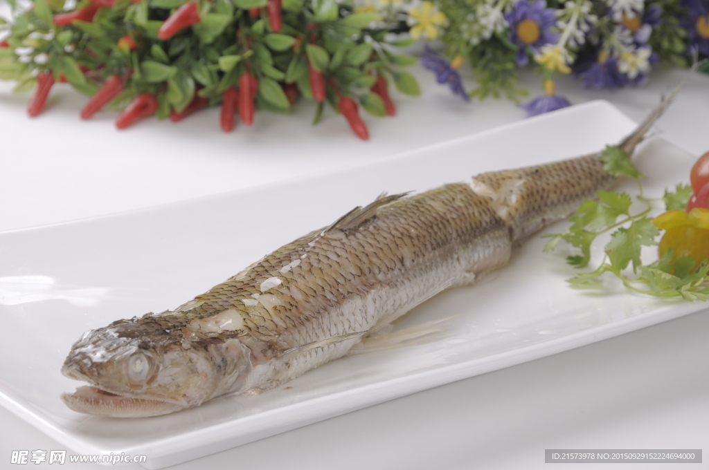 那哥魚條