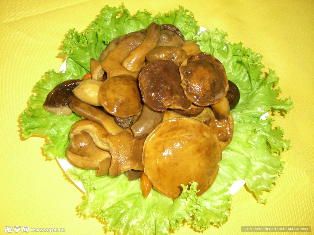 野生黃蘑桿菌