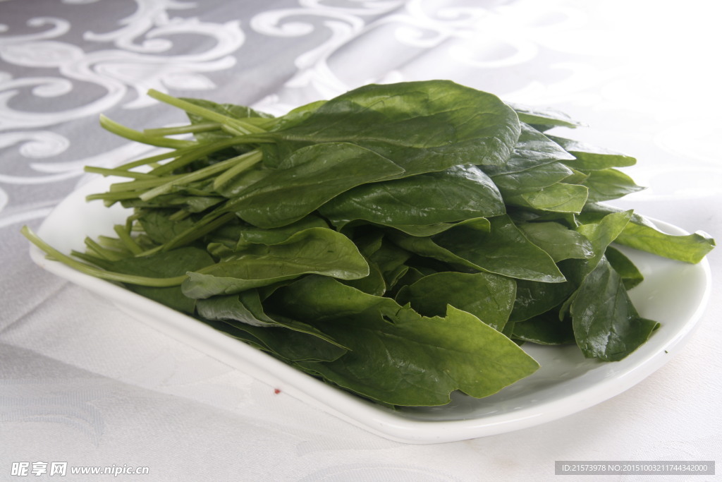 鮮菠菜