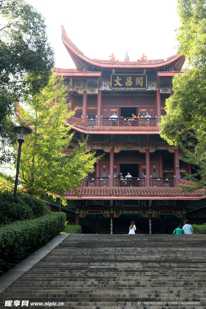 金鶚公園