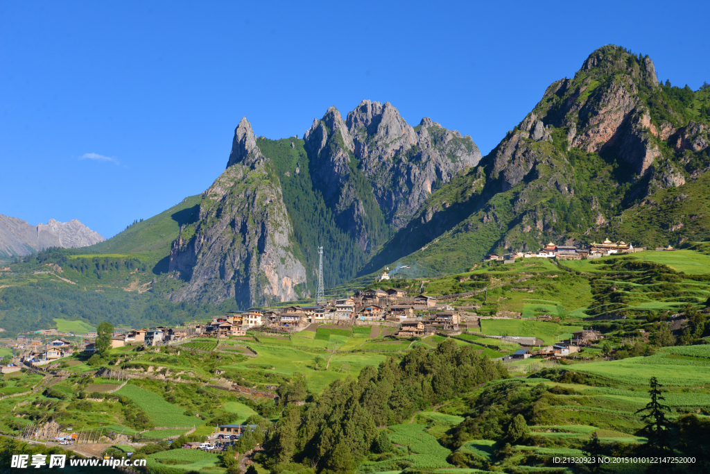 青山 農家 攝影