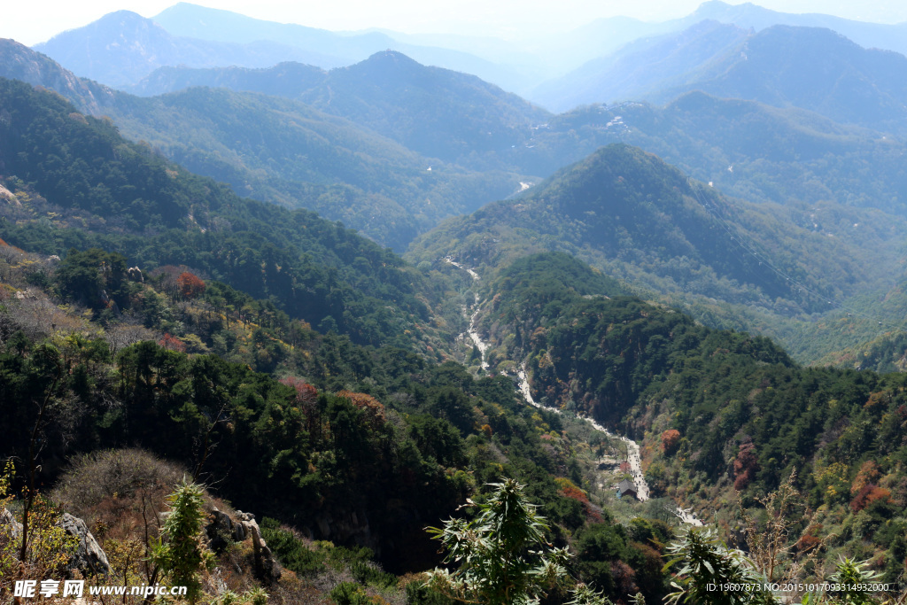 泰山