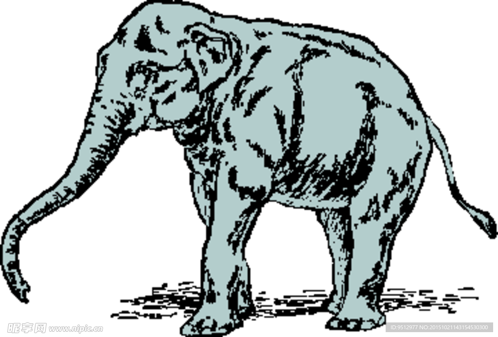 站立的大象