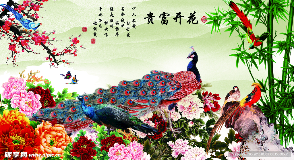 花開富貴 孔雀