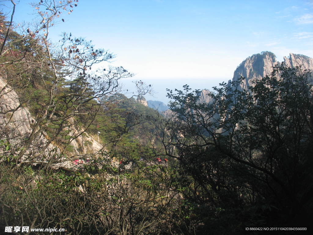 重陽(yáng)黃山