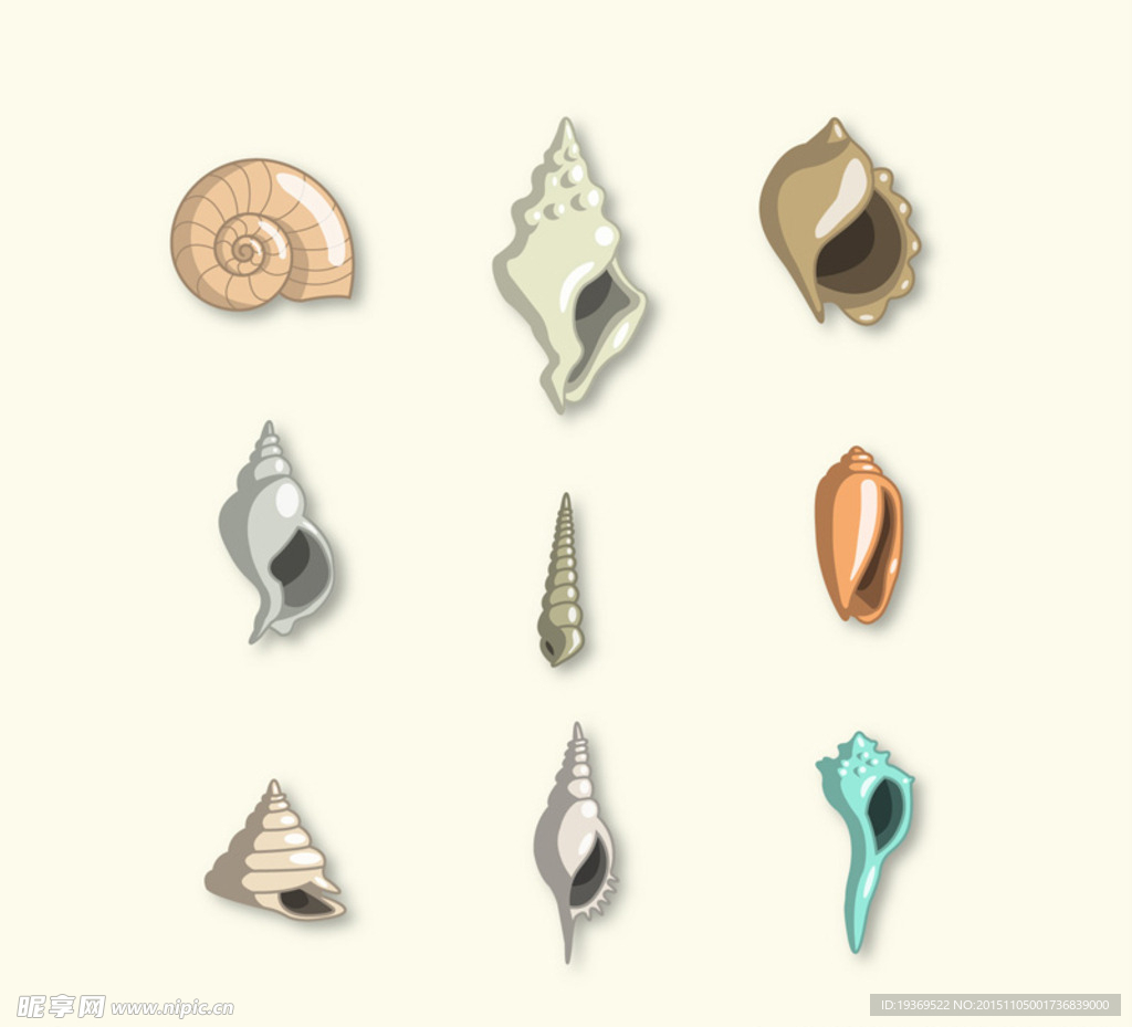 彩色海螺和贝壳设计矢量图