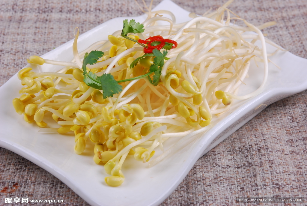 豆芽