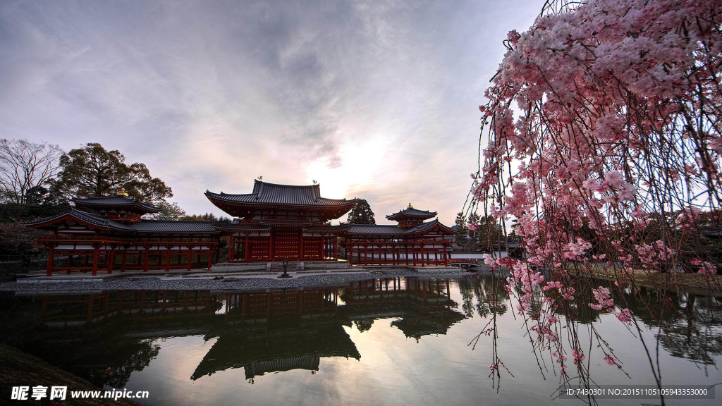 庭院風景