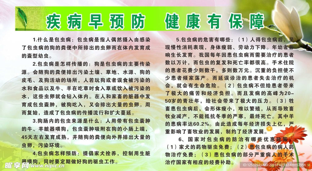 包虫病知识宣传栏44