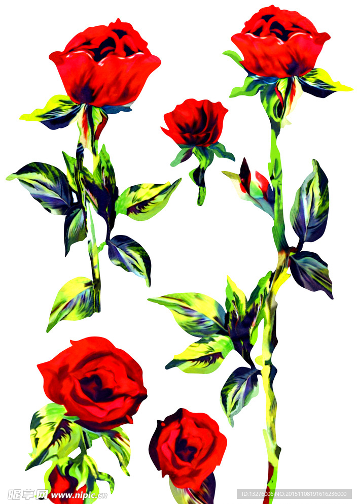 分层玫瑰花朵