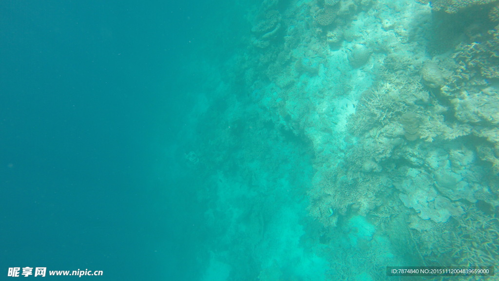 馬爾代夫海底世界