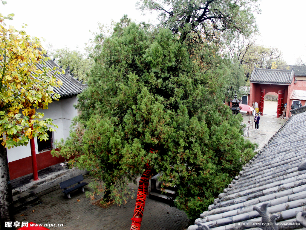 道觀庭院