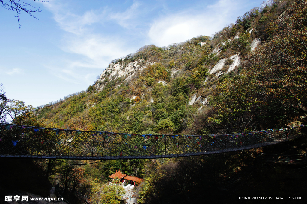深山懸橋