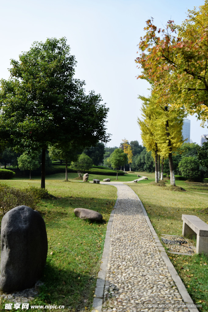 公園小道