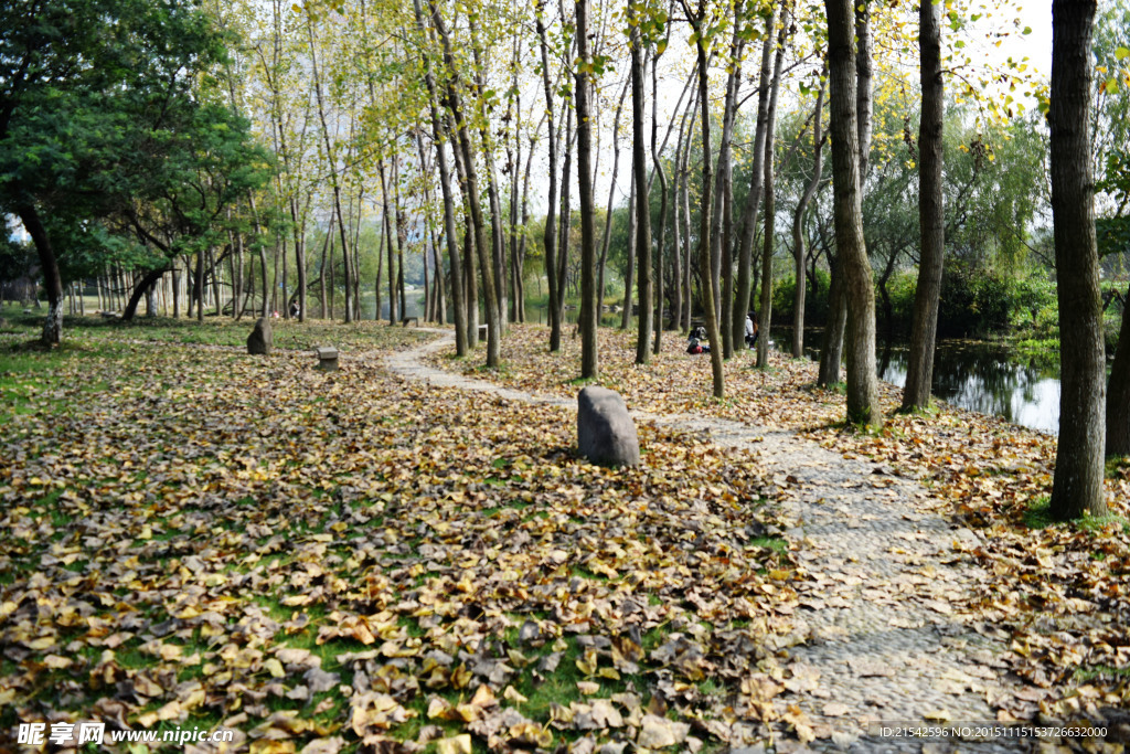 落葉 小路