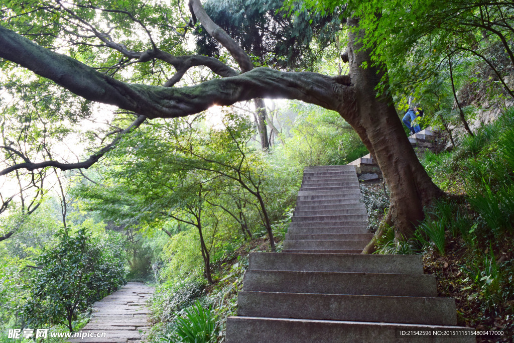山間小路