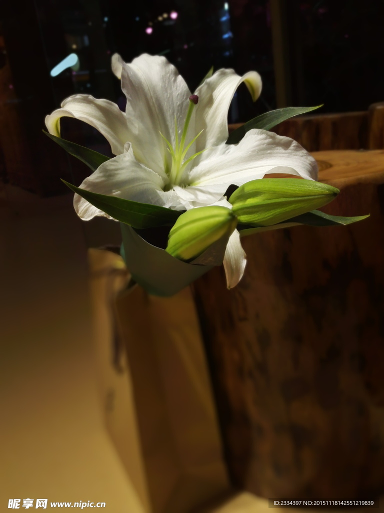 根 水中根