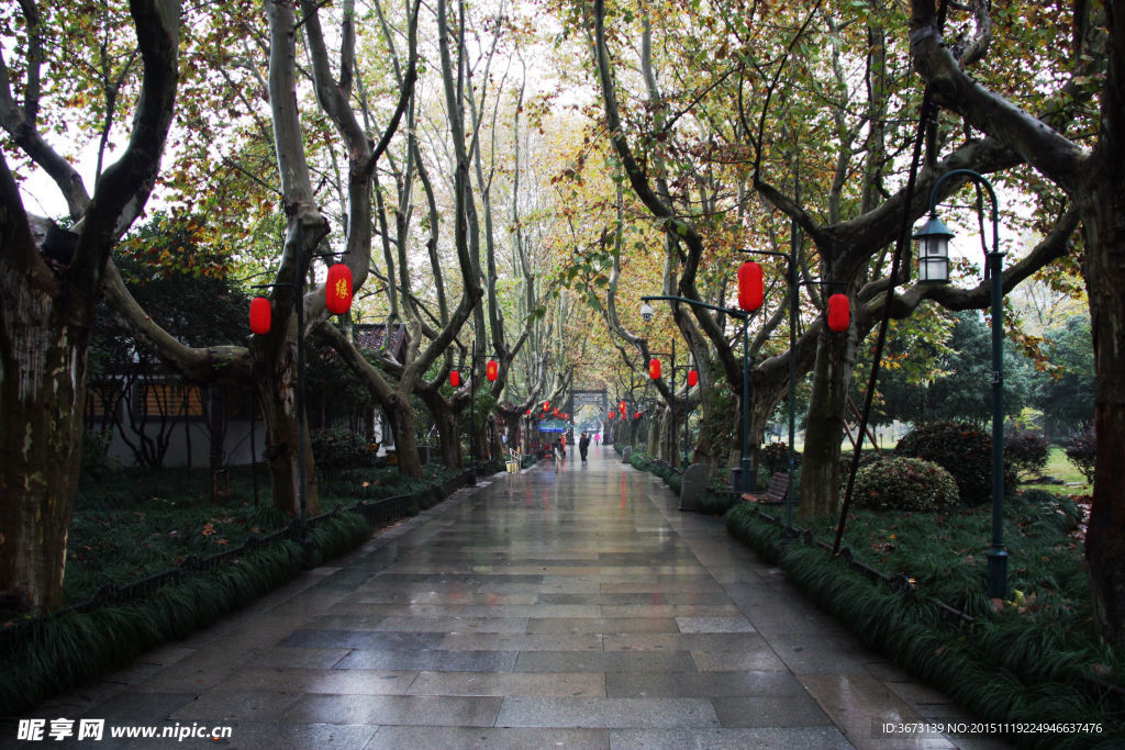 秋雨中的紅燈籠