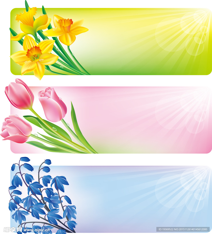 春季花卉边框横幅矢量素材