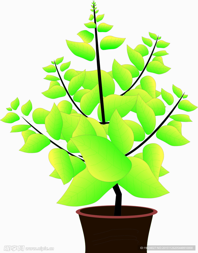植物
