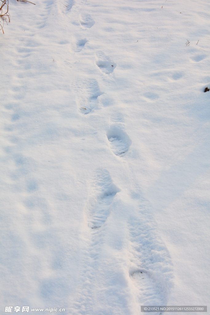 雪地腳印